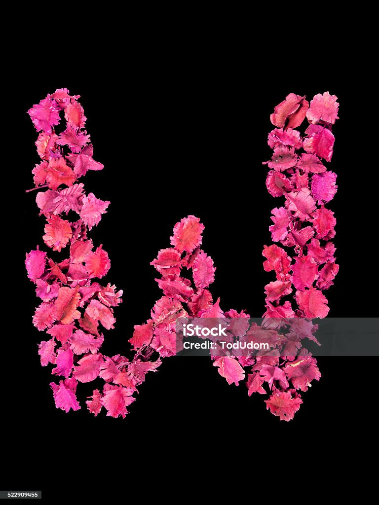 in Dry flower alphabet "X", Black isolate, Studio shot. Alphabet Stock Photo