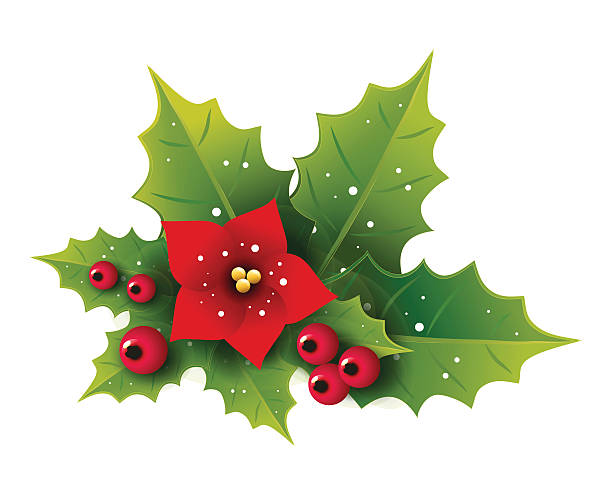 ilustraciones, imágenes clip art, dibujos animados e iconos de stock de flor de acebo de navidad - kunst