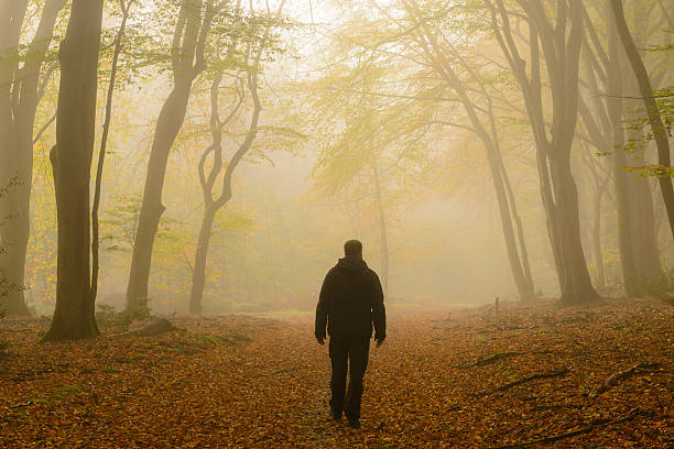 istock Man walking through a misty forest 522910483