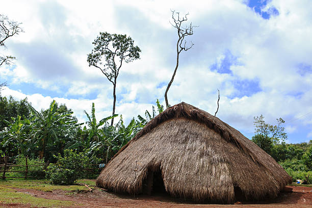 istock hut in a remote village 522911899