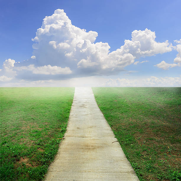 istock Beautiful green field under blue sky and pathway. 522912225