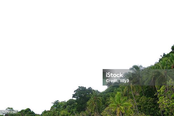 Frame Of Tropical Trees Stock Photo - Download Image Now - Hill, Rainforest, Amazon Rainforest