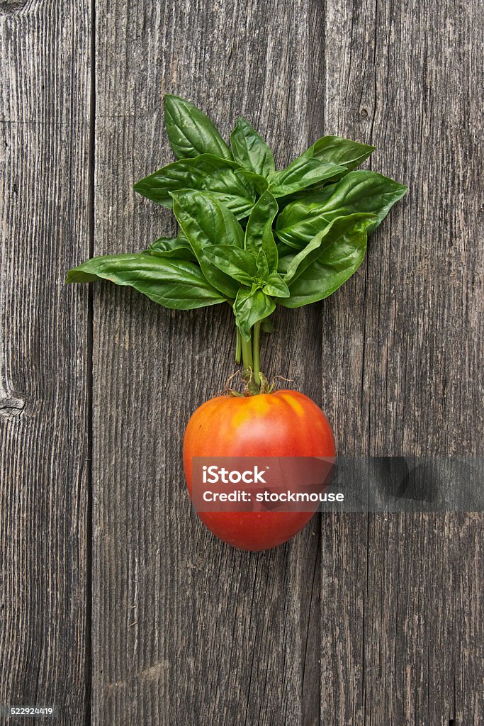 Tomato with basil on a wooden board Red oxheart tomato with a bunch of basil Basil Stock Photo