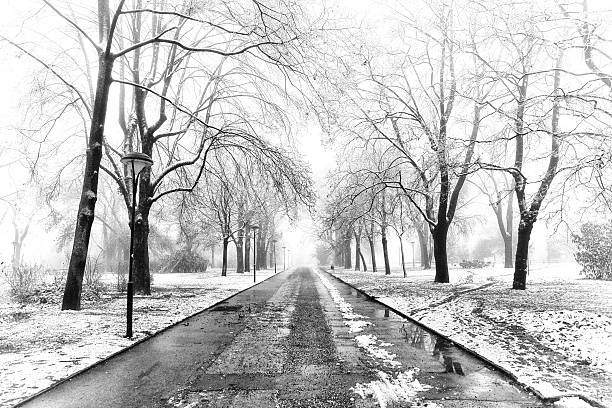 istock winter morning in the park 522924647