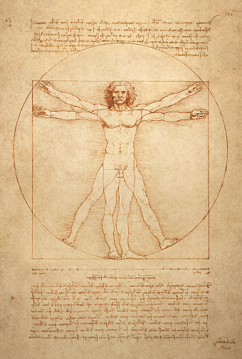 The famous anatomical drawing 