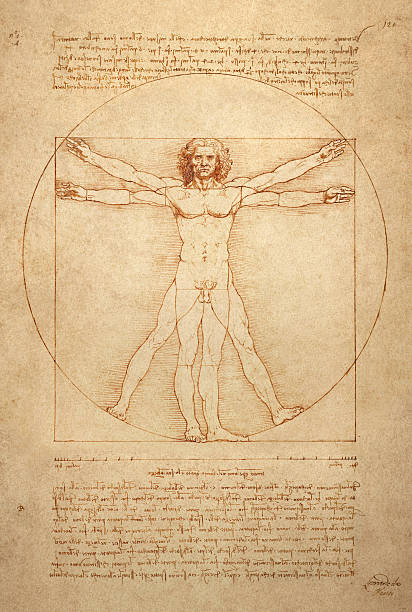 Vitruvian Man The famous anatomical drawing "Vitruvian Man" (Uomo vitruviano) by Leonardo da Vinci. leonardo da vinci stock pictures, royalty-free photos & images