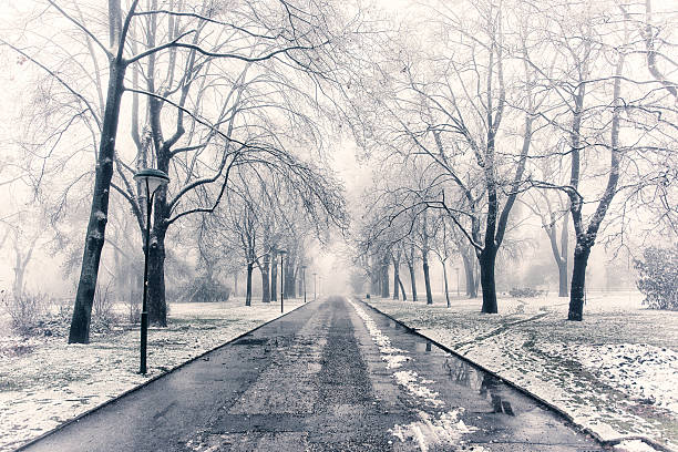 istock winter morning in the park 522926379