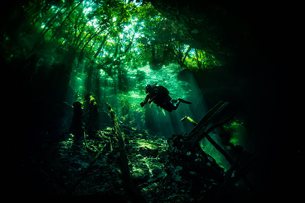 Green ambient in dark underwater caves Scuba diver exploring the underwater cenotes in Mexico near Puerto Aventuras. Caves are dark and the light always gives different amazing ambient underwater. puerto aventuras stock pictures, royalty-free photos & images