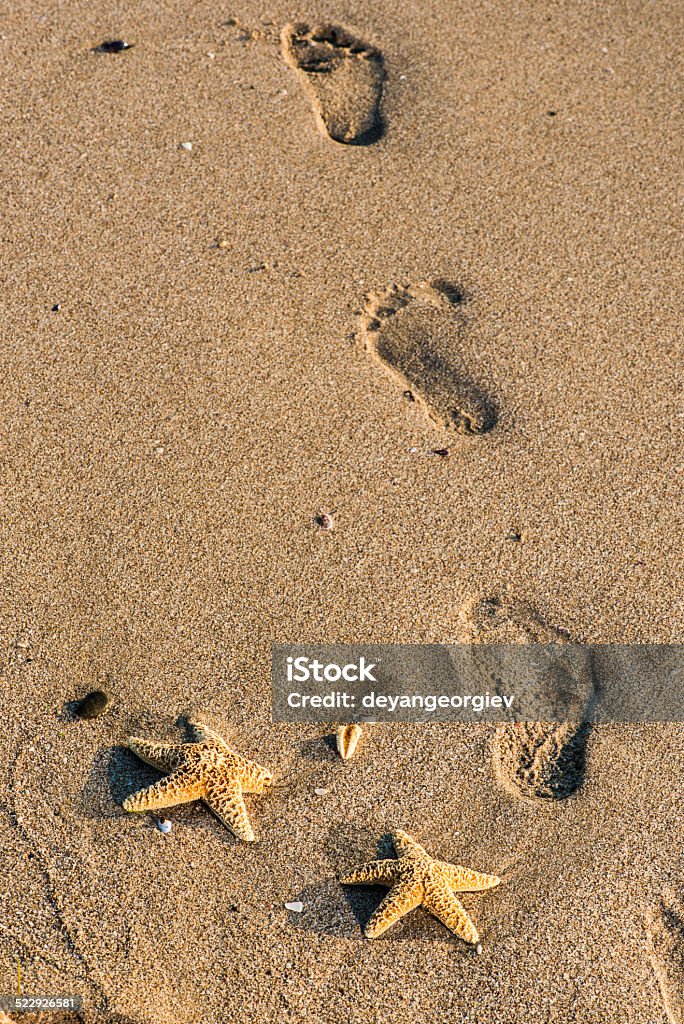 Food steps on the beach Food steps on the beach. Sun light Beach Stock Photo