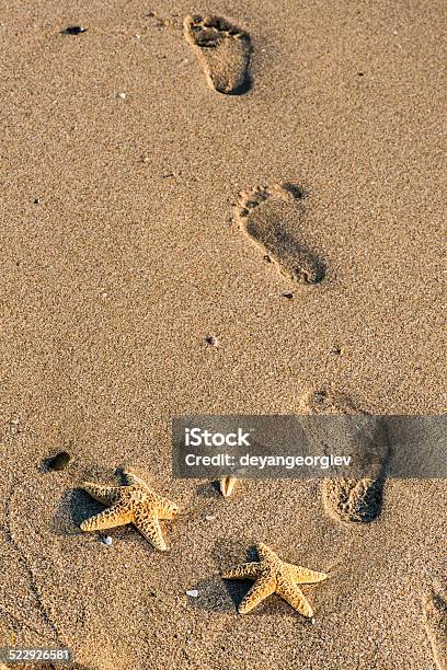 Food Steps On The Beach Stock Photo - Download Image Now - Beach, Behind, Coastline