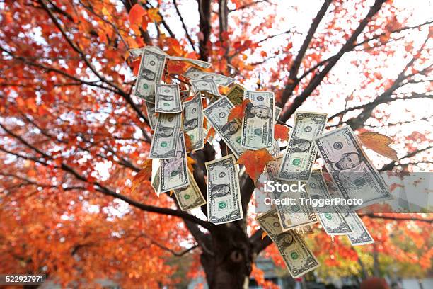 Money Tree Stock Photo - Download Image Now - Currency, Leaf, Autumn