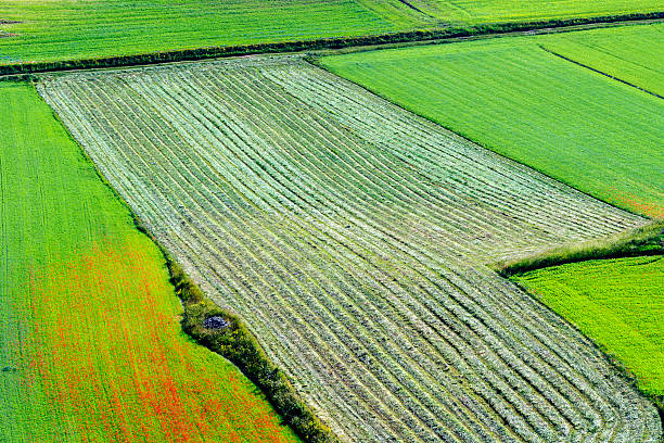 istock Piano Grande di Castelluccio (Italy) 522946007
