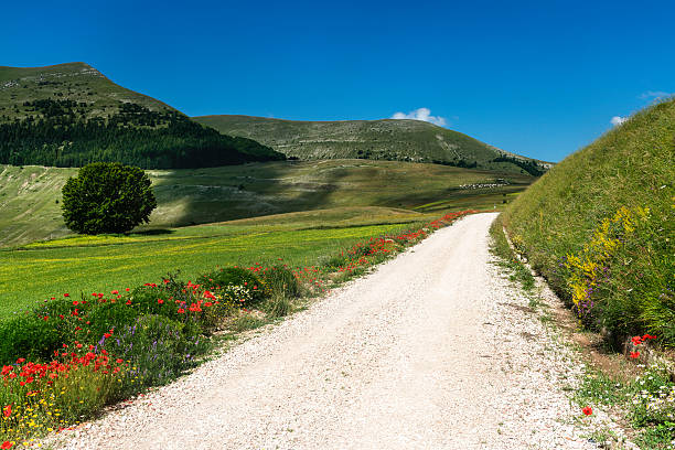 istock Piano Grande di Castelluccio (Italy) 522946141