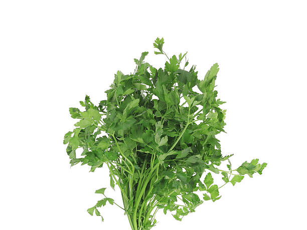 istock Bunch of parsley on a white. 522946697