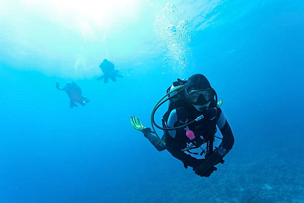 istock Female suba diver swimming under water 522948223
