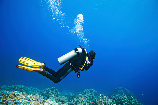 Scuba diver swimming under water and examines the seabed