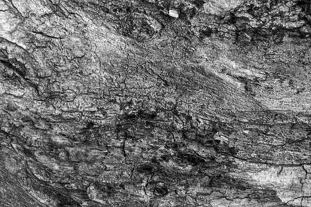 istock wooden texture background black and white 522948433