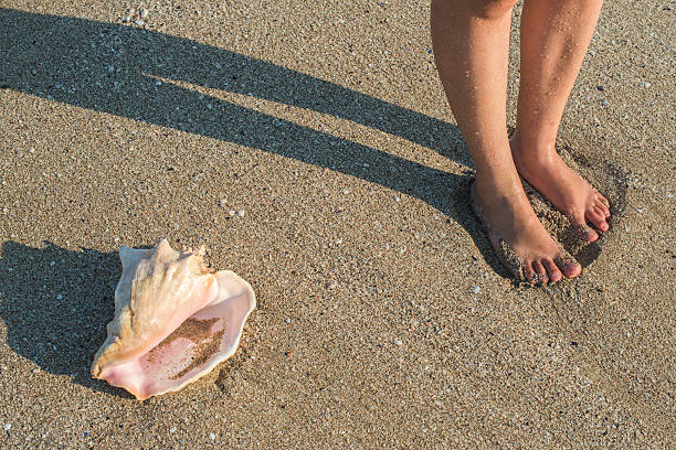 istock Shells on the beach. Foots in water 522948695