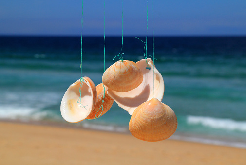 Wind chime made of seashells with the a deserted beach and ocean in the background. (selective shallow focus) Atlantic coast, Portugal.