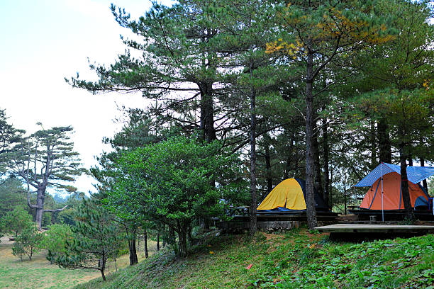 istock Camping ground at mountainous region 522950511