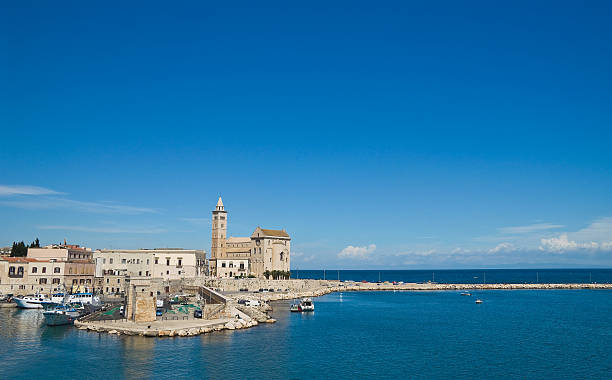 istock Panoramic view of Trani. Puglia. Italy. 522958621