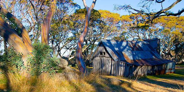 Wallace Hut, Bogong High Plains, Falls Creek, Victoria, Australia