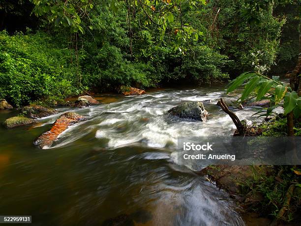 Flowing Stream In A Forest Stock Photo - Download Image Now - Backgrounds, Beauty In Nature, Environment
