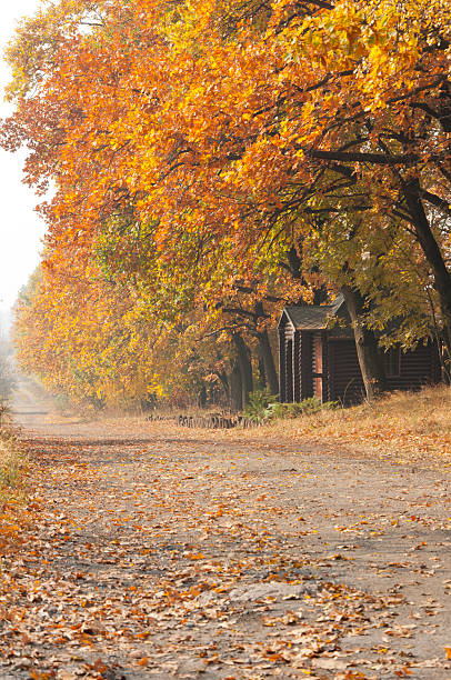istock small church near the road 522962963
