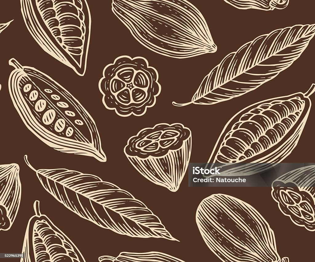 cocoa pattern engraved pattern of leaves and fruits of cocoa beans Bean stock vector