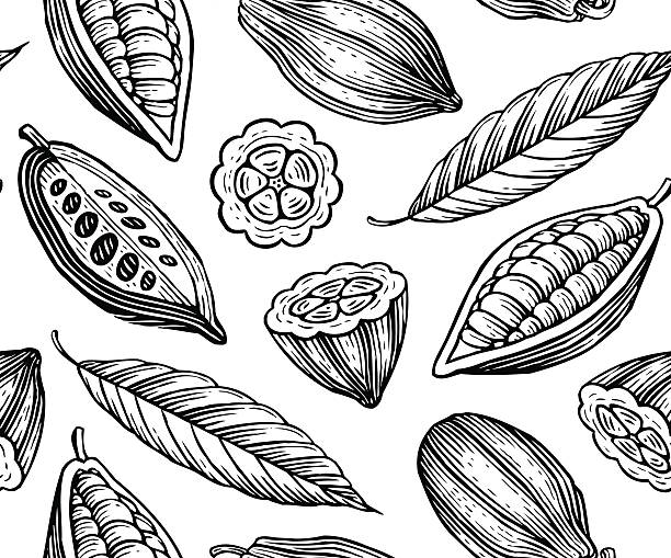 cocoa pattern engraved pattern of leaves and fruits of cocoa beans easy black and white drawing stock illustrations