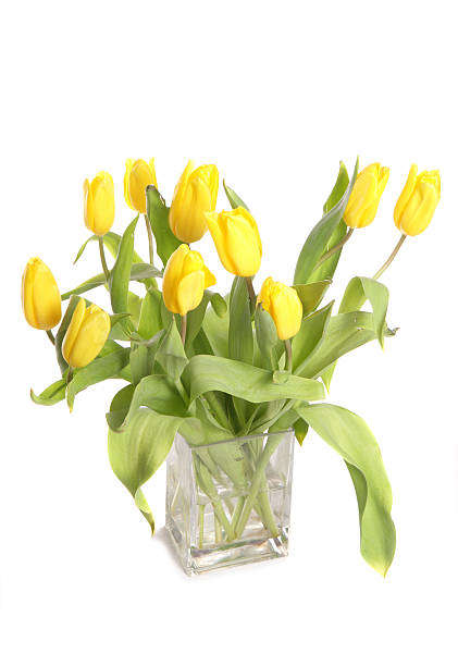 istock Yellow tulips in a vase 522976533
