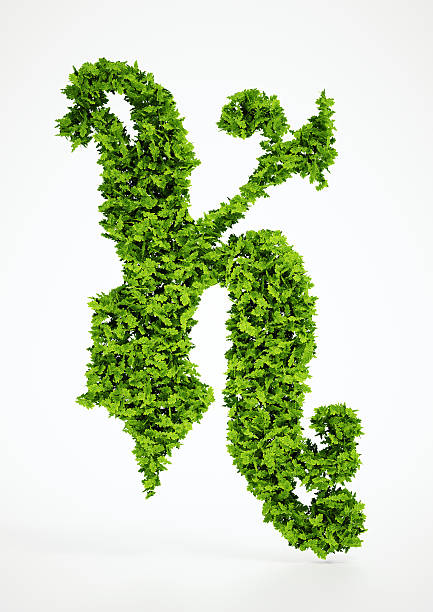 ökologie buchstabe k-symbol mit weißem hintergrund - letter k alphabet three dimensional shape green stock-fotos und bilder