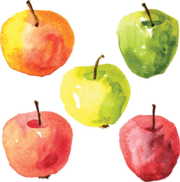 ilustrações, clipart, desenhos animados e ícones de conjunto de desenho aquarela maçãs - abundance apple red yellow