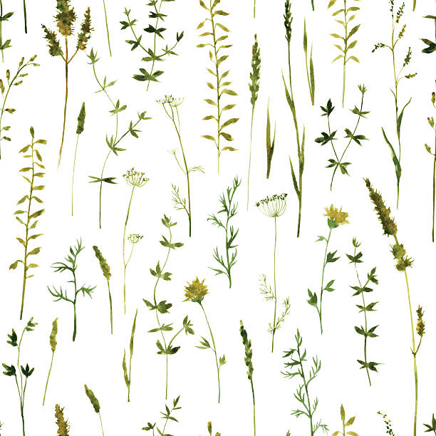 bezszwowe wzór z kwiatów i traw - flower bed gardening flower field stock illustrations