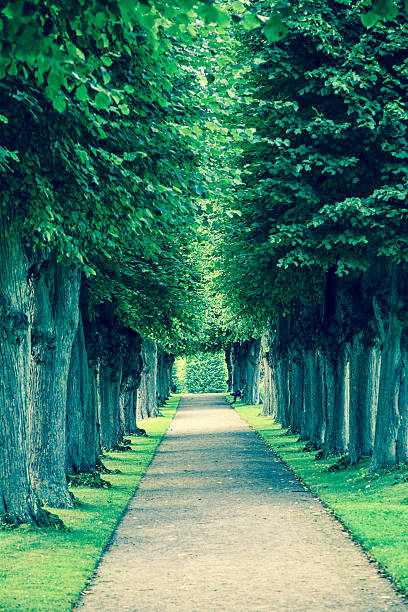 istock Park near Frederiksborg palace, Denmark 522982925