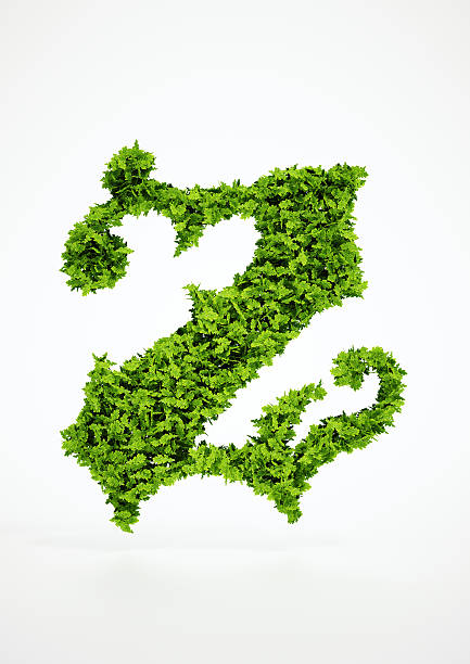 istock Ecology letter Z symbol with white background 522983225
