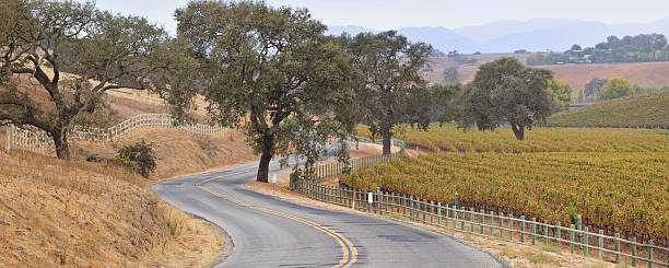 구불구불한 도로 및 포도원입니다 - vineyard california santa barbara county panoramic 뉴스 사진 이미지