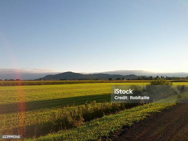 Morning Landscape With Path And Mountains Stock Photo - Download Image Now - Montérégie, Horizontal, Nature