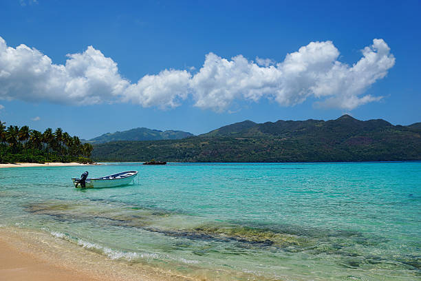 Reef, Playa rincon beach, Samana, Dominican republic