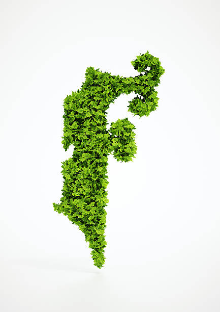 istock Ecology letter F symbol with white background 523000511
