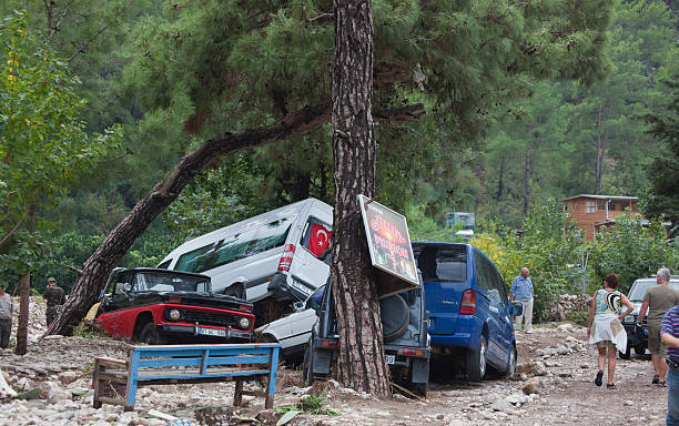 stos wyłączała się samochody w lesie - tornado storm road disaster zdjęcia i obrazy z banku zdjęć