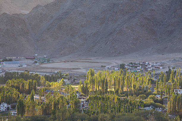 istock View of Leh city 523001559