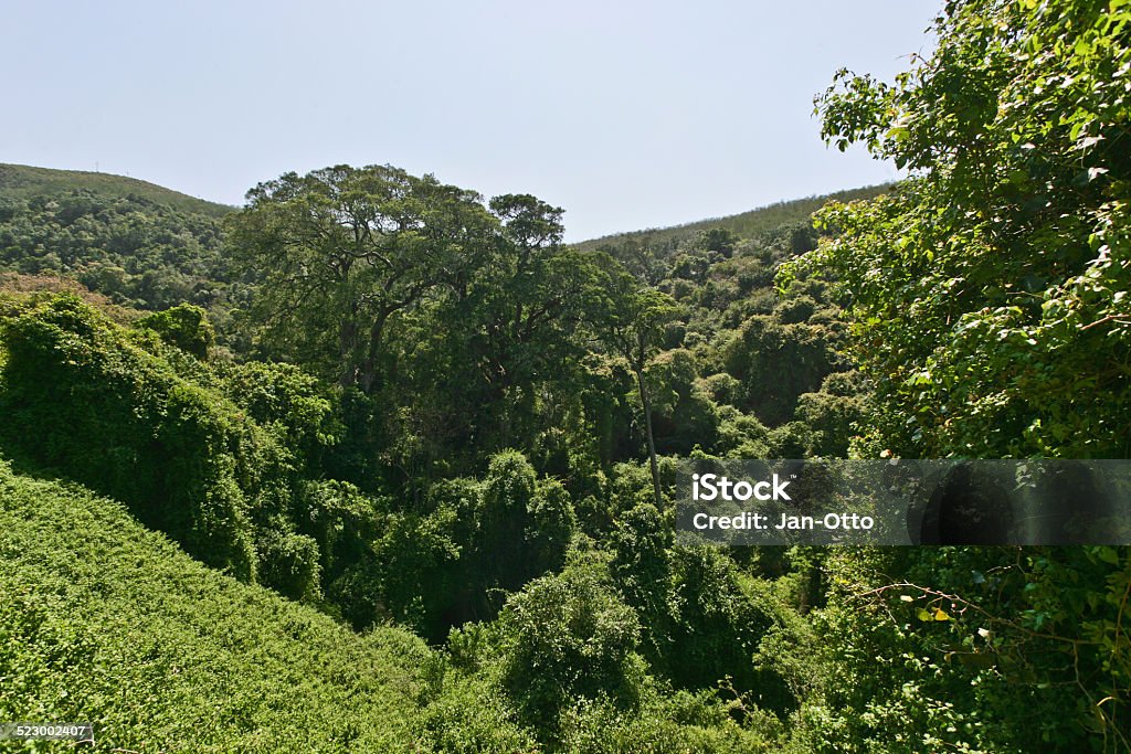 Tstsikamma National Park - Lizenzfrei Afrika Stock-Foto