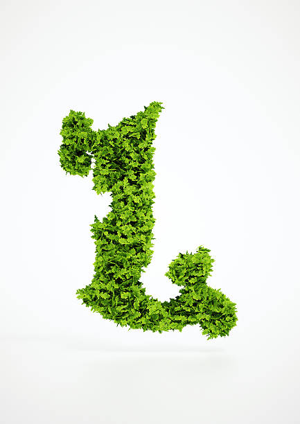 istock Ecology letter L symbol with white background 523002481