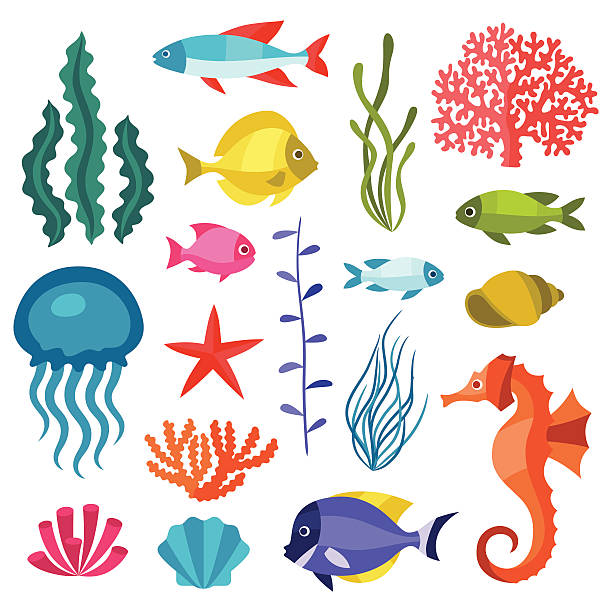 marine life satz von symbolen, objekte und meer tiere. - coral colored stock-grafiken, -clipart, -cartoons und -symbole