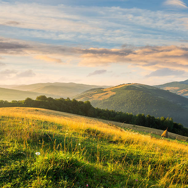 istock field on hillside near village 523005393