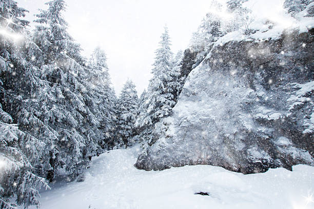 istock Christmas background with snowy fir trees 523005859