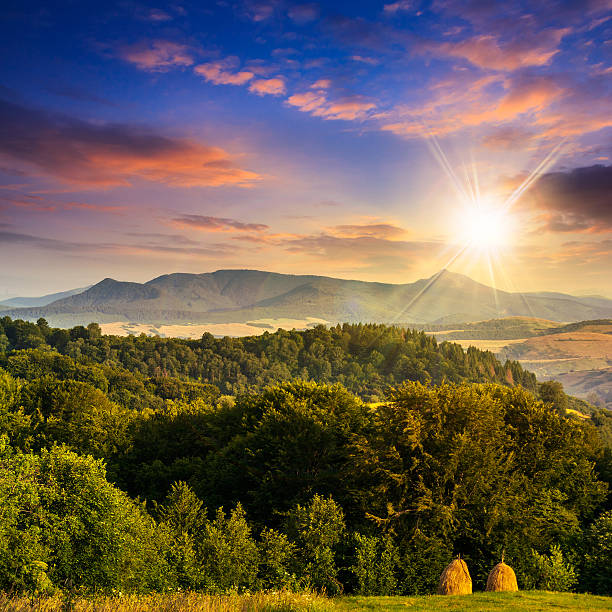 istock field  in mountains at sunset 523006007