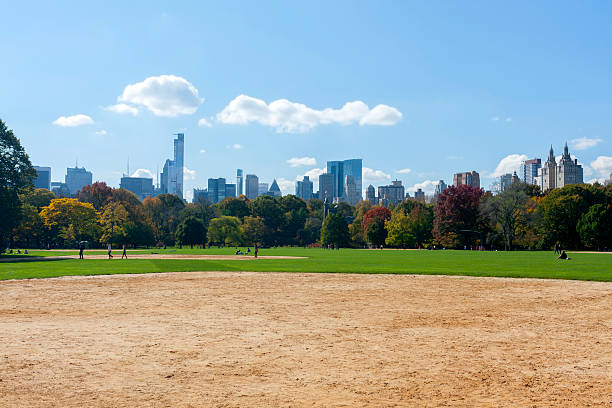 istock New York Skyline in Central Park 523006429