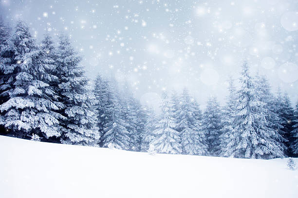 istock Christmas background with snowy fir trees 523014389